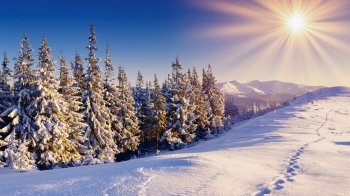 Сонячно та без опадів: якою буде погода на Львівщині 8 грудня