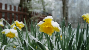 Погода на Львівщині 26 березня: вночі заморозки до -5°