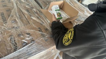 Львівського перевізника затримали на контрабанді дитячих ліків