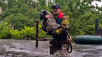 Негода на Львівщині: яка ситуація у громадах області