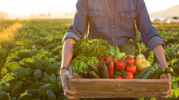 Аграрії отримають до 105 тис. грн за кожну працевлаштовану особу з інвалідністю