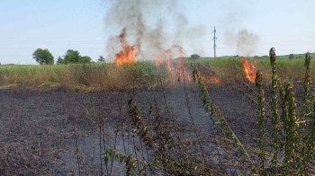 На Львівщині ліквідували пожежі у шести районах: згорів 1 га сухостою
