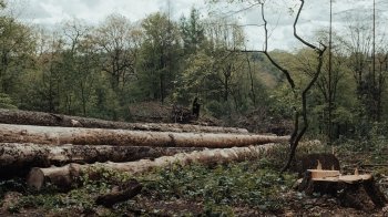 Європі загрожує екологічна катастрофа вже влітку 2023-го: що стане причиною