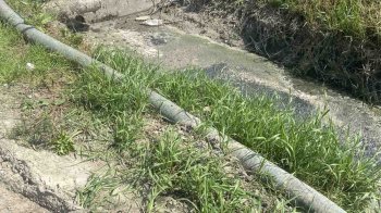 На Золочівщині виявили забруднення земель стічними водами