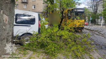 Буревій у Львові повалив дерево на вулиці Мельника: пошкоджено авто і перекрито рух трамваїв