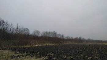 Земельна ділянка, яку продали на торгах