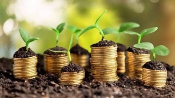 земля, гроші