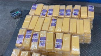 Близько 350 кг контрабандного сиру намагався провезти мешканець Львівщини