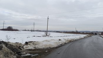 Львівська міськрада хоче викупити землі під кладовище в Лисиничах