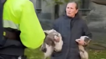 4 врятовані життя: у центрі Львова зоозахисники вилучили тварин