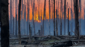 Бригада “Азов” вибила російські війська з частини позицій в Серебрянського лісі