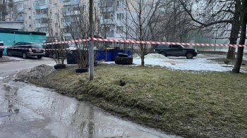 На вулиці Володимира Великого у Львові знайшли гранату біля смітника