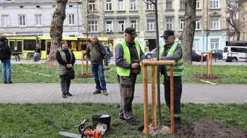 У Львові проходить акція "Подаруй місту дерево".