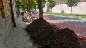 У Львові на Кривоноса під час робіт пошкодили коріння дерев