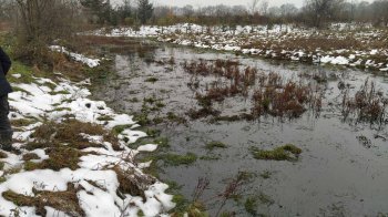 Екологи виявили у каналі на Стрийщині нафтопродукти: канал веде до річки Дністер