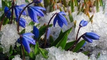 Синоптики пообіцяли на 12 лютого справжню весняну погоду