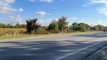 Компанія власника мережі АЗС купила ділянку на трасі до Стрия