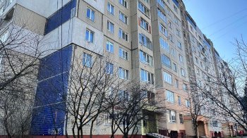 Гілки заважають ходити, а кущі затіняють будинок: жителі Сихівського району просять провести санітарну обрізку дерев