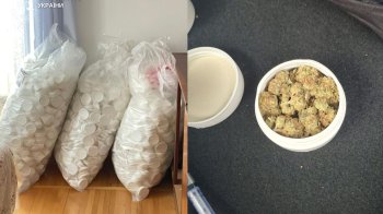 Львів’янин вирощував наркотики в домі 77-річної матері