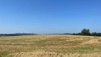 Невідомі аграрії зібрали половину врожаю зі 120 захоплених гектарів біля Львова