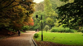 Суд стягнув з підприємця понад пів мільйона гривень заборгованості на користь Стрийського парку