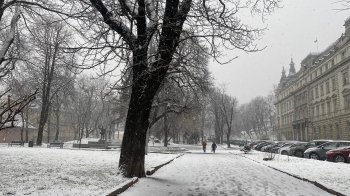 16 листопада на Львівщині прогнозують мокрий сніг