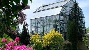 Ботанічний сад ЛНУ у Львові відкривають для відвідувачів