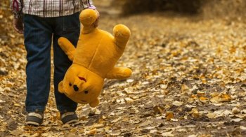 В українців за кордоном вилучили понад 400 дітей