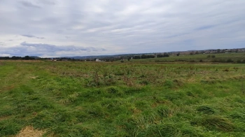 Міськрада вперше продала в оренду сільськогосподарську землю біля Львова