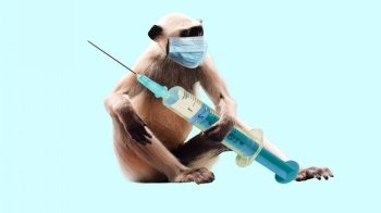 ВООЗ оголосила спалах мавпячої віспи надзвичайною ситуацією світового масштабу