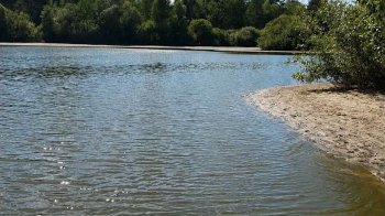 Через спеку в озері на Яворівщині заборонили купатися