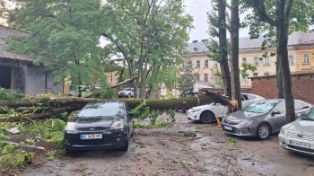 Наслідки буревію у Львові: у місті повалило дерева, світлофор та зірвало дахи