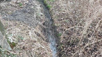 Перетворили ліс у вигрібну яму: у Рудному місцеві жителі забруднили лісопарк