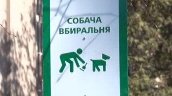 Де у Львові облаштують станції прибирання за собаками