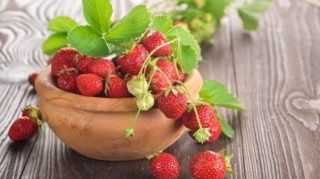 В Україні фермер вирощуватиме суницю у тунелях: як це відбуватиметься