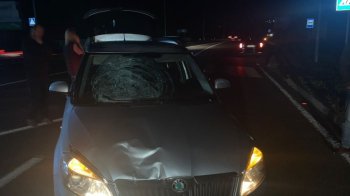 Школярка померла в реанімації після наїзду у селі біля Львова