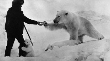 Українська антарктична експедиція шукає полярників