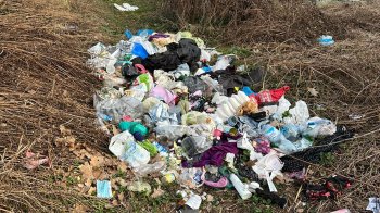 У Львові на закритому кладовищі виявили звалище побутових відходів