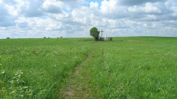 За участі львівських фахівців на Волині досліджують місця спалених у 1943 році сіл