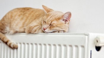 У Кам’янка-Бузькій громаді 8 листопада розпочнеться опалювальний сезон: куди подадуть тепло 