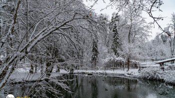 Дощ та мокрий сніг: якою буде погода на Львівщині 9 грудня