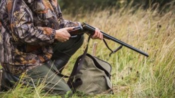 У чотирьох громадах Львівщини відстрілюватимуть хижих та бродячих тварин