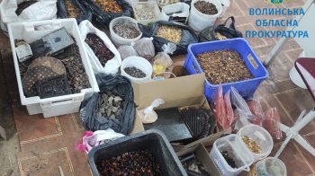 На Волині правоохоронці вилучили з підпільного цеху 124 кг бурштину