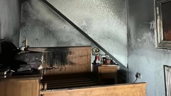 Випадково увімкнув фен: у Великій Британії собака вчинив підпал у будинку