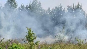 Вертольоти окупантів обстріляли Сумську область