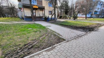 Водії заїжджають і катаються тротуаром: львів’яни просять встановити обмежувачі на вулиці Володимира Великого