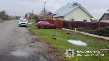 П'яний водій на Львівщині на смерть збив 80-річну жінку та втік