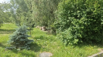 Біля Львова продали землю за 3,3 млн грн під відпочинкові об'єкти