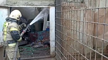 Скриншот з відео