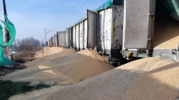 Поляки вчетверте розсипали українське зерно: пошкоджено 160 тонн збіжжя